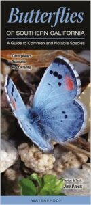 butterfly guide of southern california