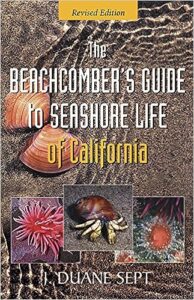 seashore nature guide